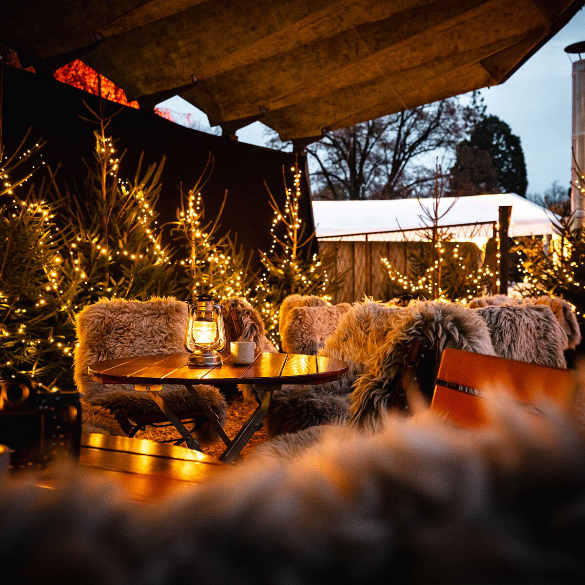 Wintialp Platzhirsch Wintialp Platzhirsch